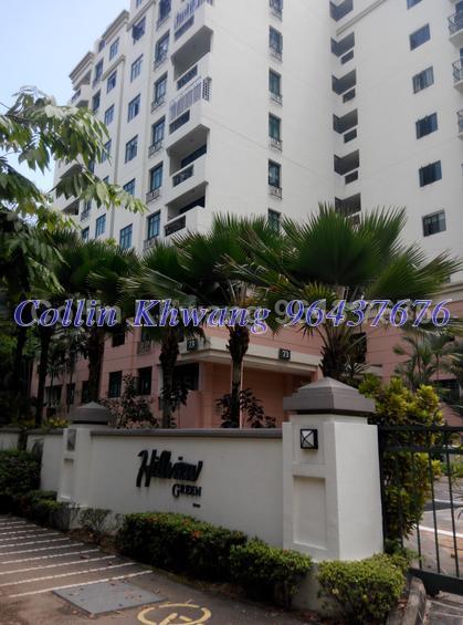 Hillview Green (D21), Condominium #135020102